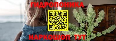 МДПВ Боровичи
