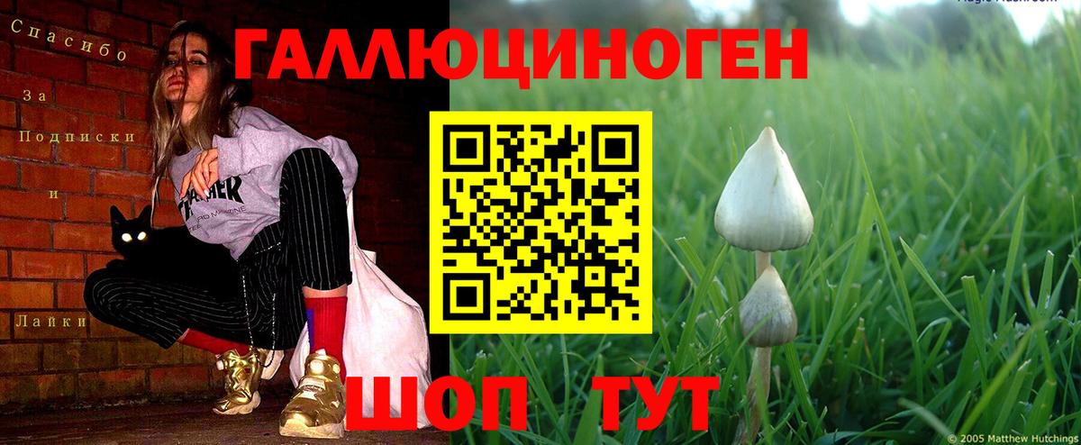 Псилоцибиновые грибы ЛСД Воркута