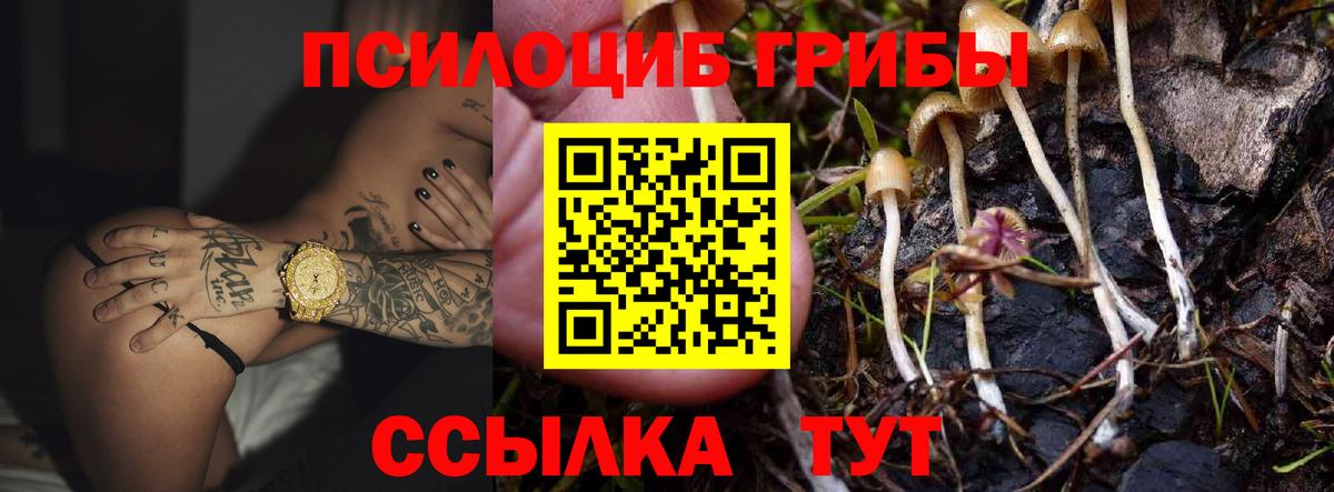 Галлюциногенные грибы Psilocybine cubensis  Псилоцибиновые грибы Magic Shrooms  Вход с VPN  Воркута 